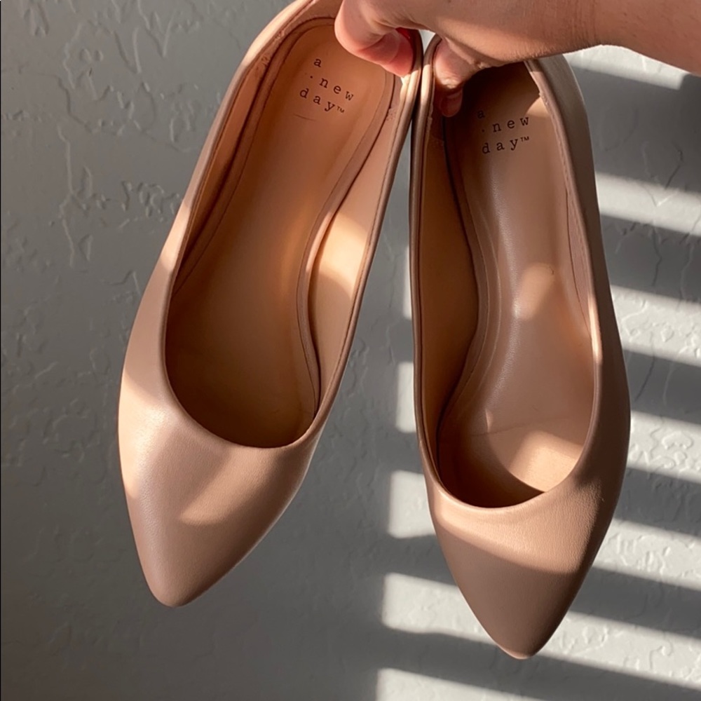 Pointed Toe Ballet Flats - A New Day